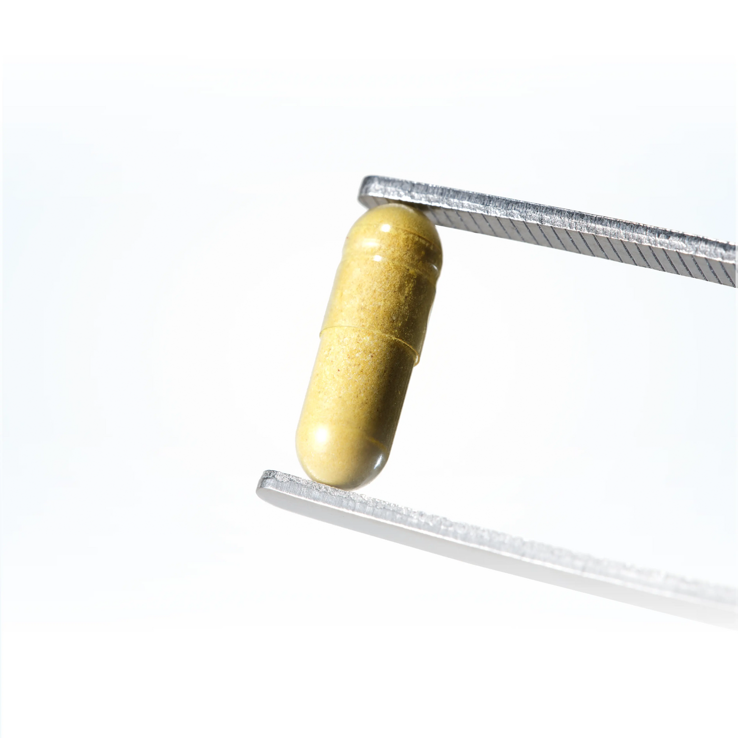 WonderBiotics 728e a49b image
