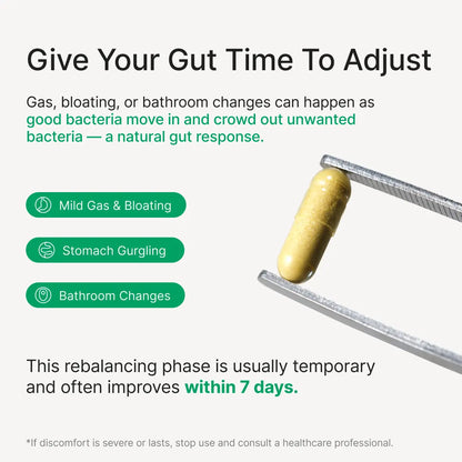 Probiotics for Weight Management - Supports GLP-1 Journey